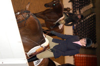 2010 - Erica at Quarter Horse Congress